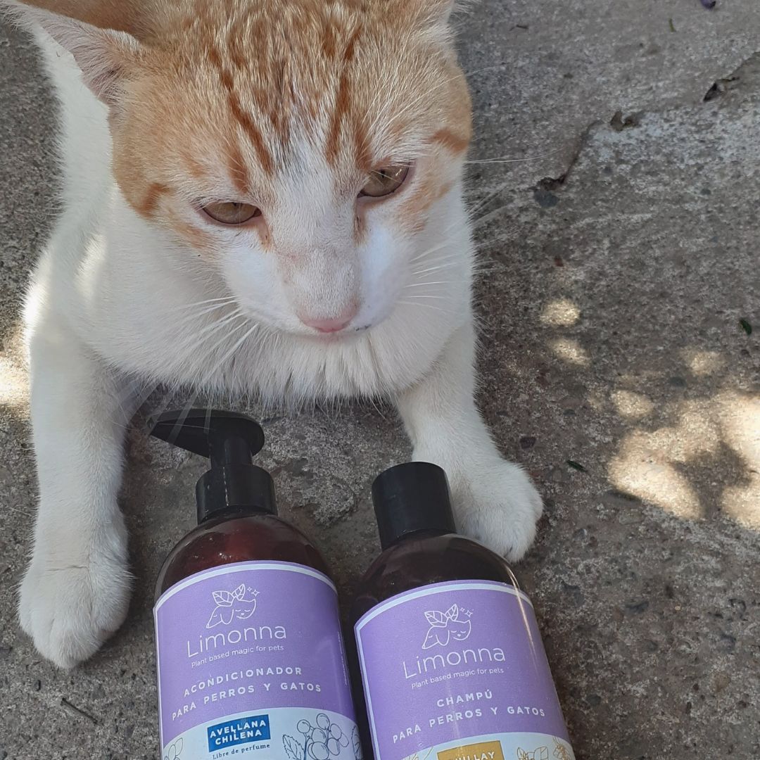 Shampoo para gatos Limonna